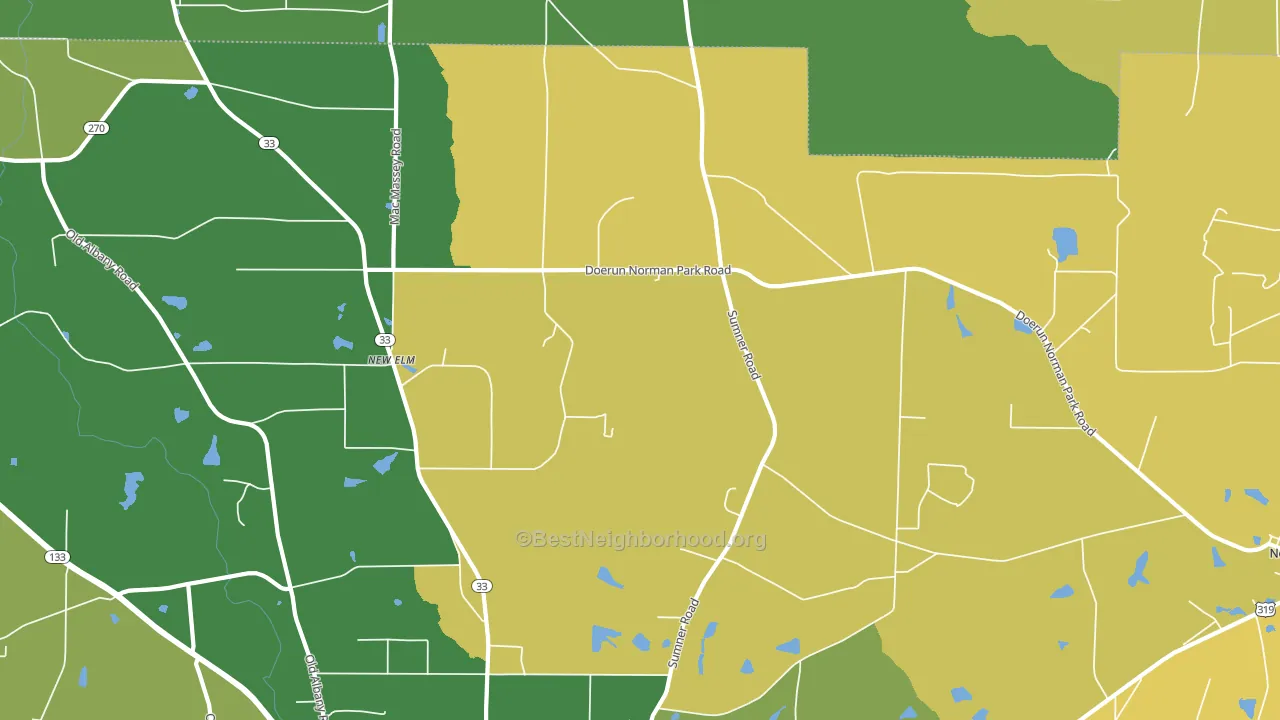 New Elm, GA block-group voter-turnout map