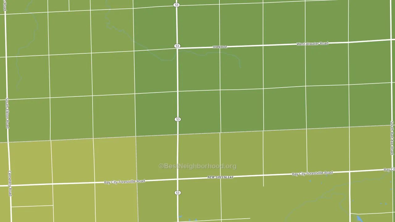 New Greenleaf, MI block-group voter-turnout map