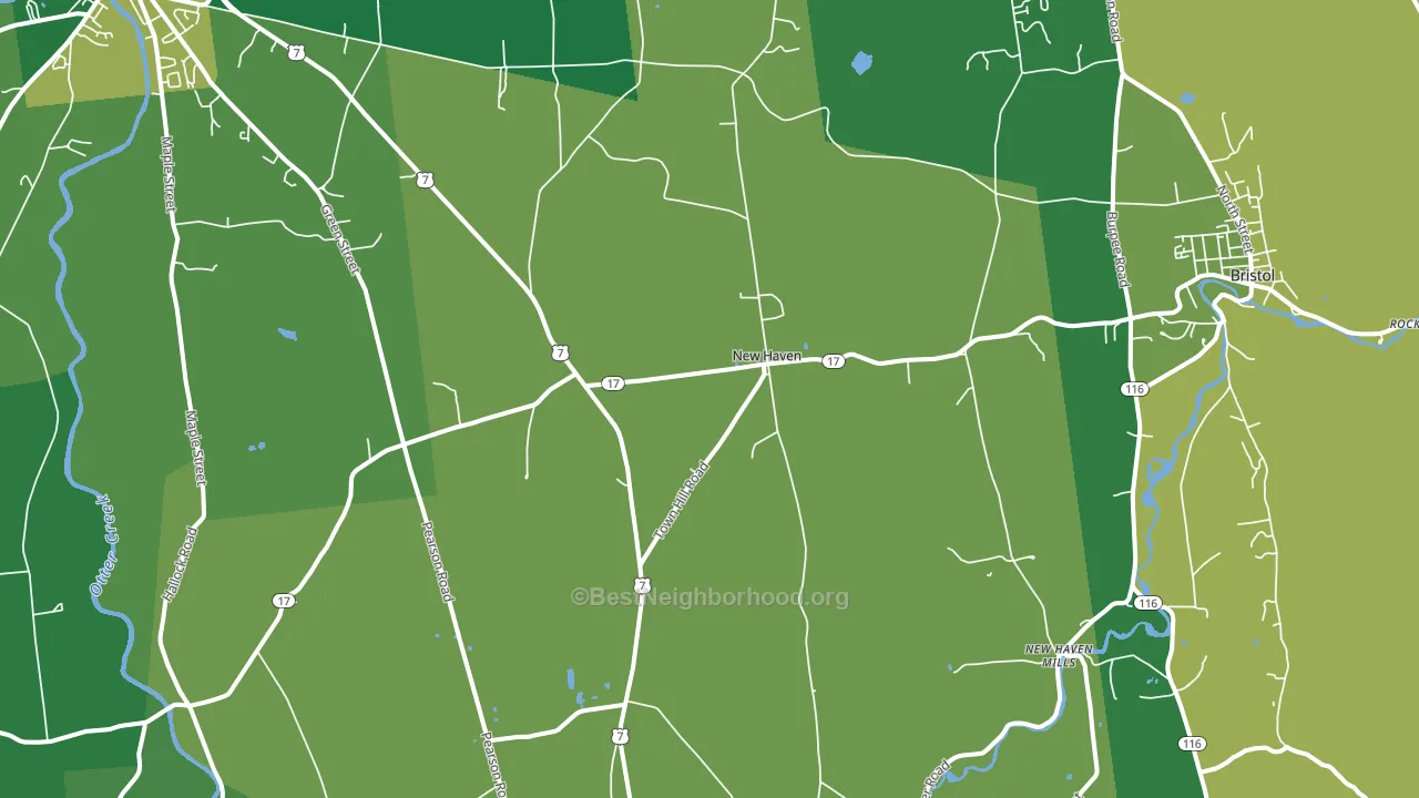 New Haven, VT block-group voter-turnout map