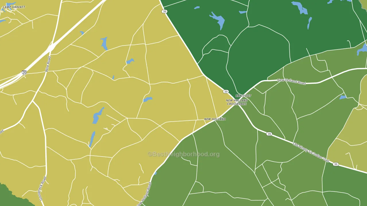 New Holland Crossroads, SC block-group voter-turnout map