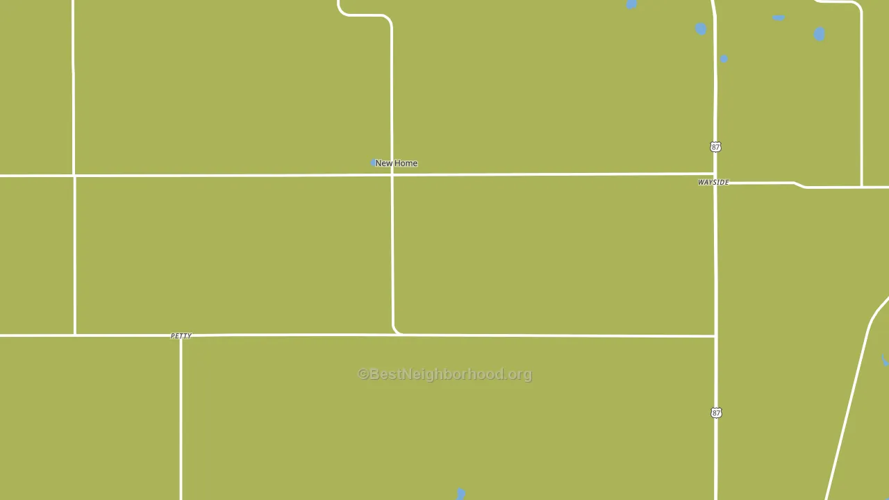 New Home, TX block-group voter-turnout map