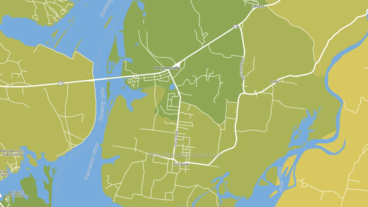 New Johnsonville, TN block-group voter-turnout map