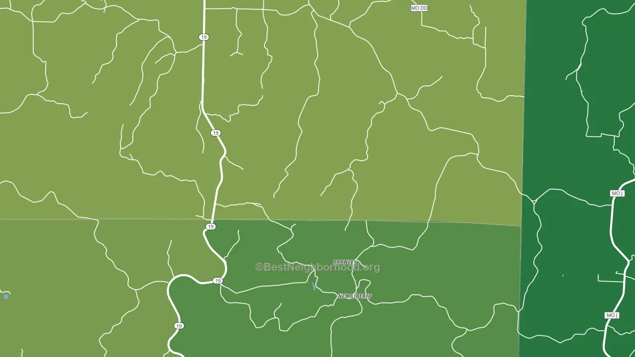 New Liberty, MO block-group voter-turnout map