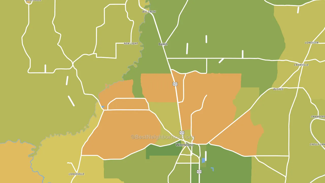 New Light, LA block-group voter-turnout map