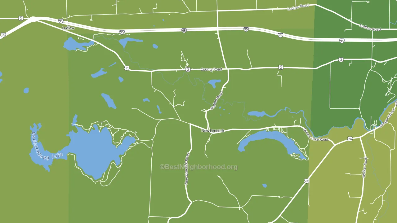 New Limerick, ME block-group voter-turnout map