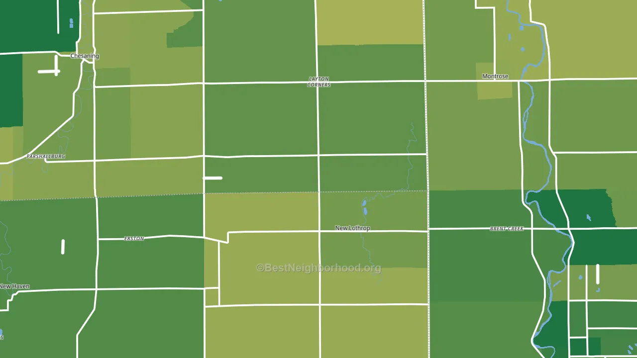 New Lothrop, MI block-group voter-turnout map