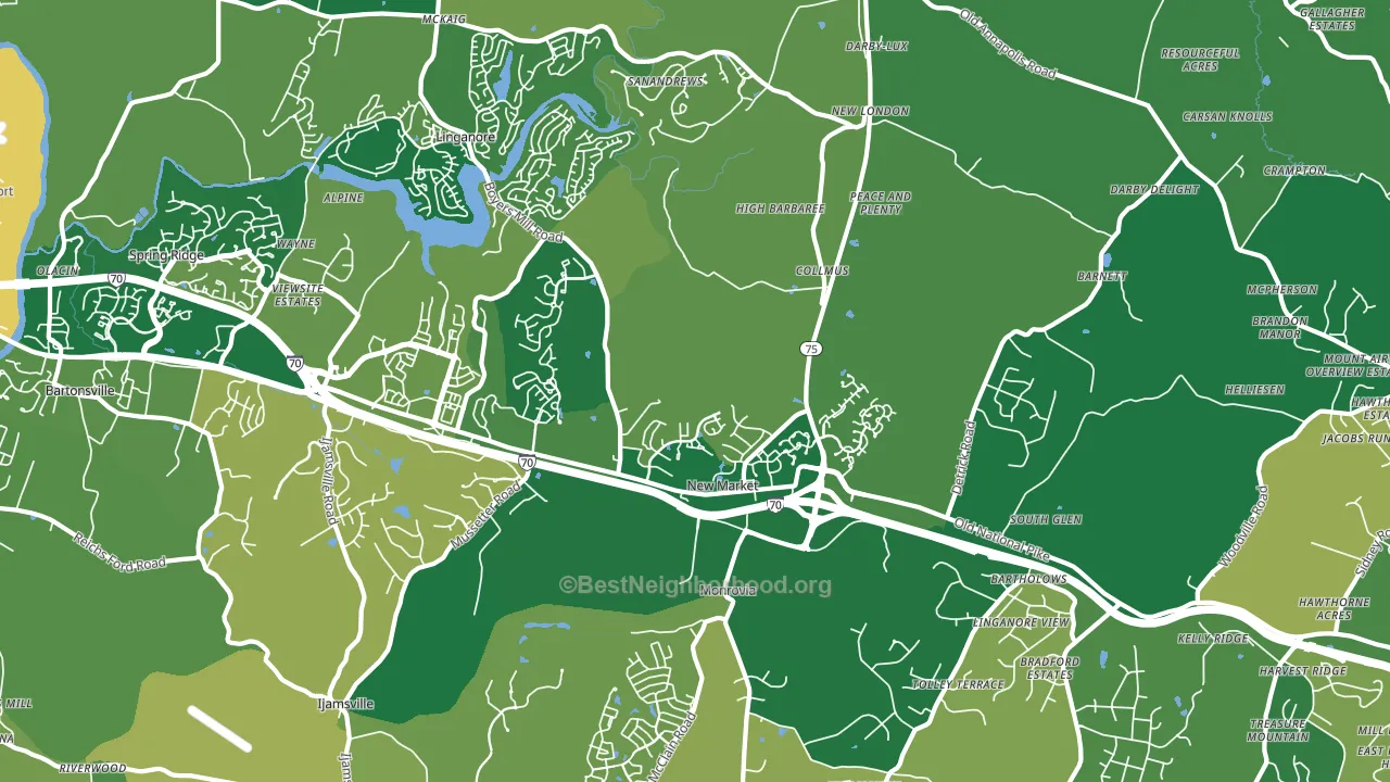 New Market, MD block-group voter-turnout map