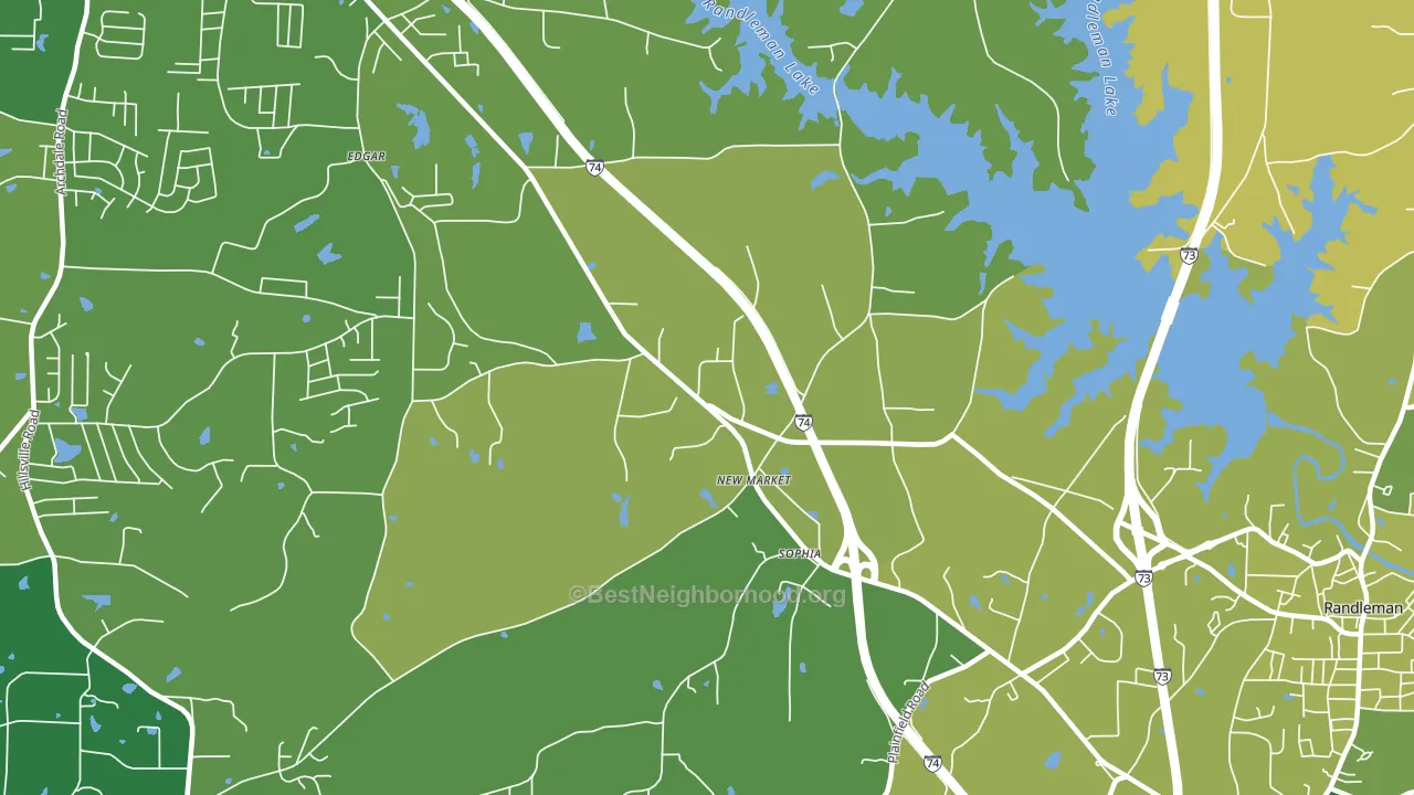 New Market, NC block-group voter-turnout map
