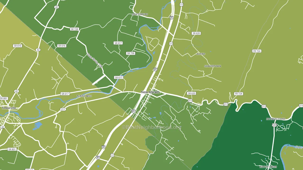 New Market, VA block-group voter-turnout map