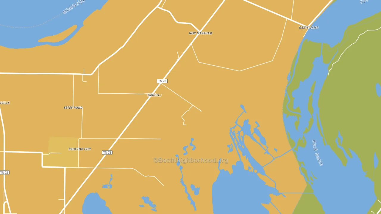 New Markham, TN block-group voter-turnout map