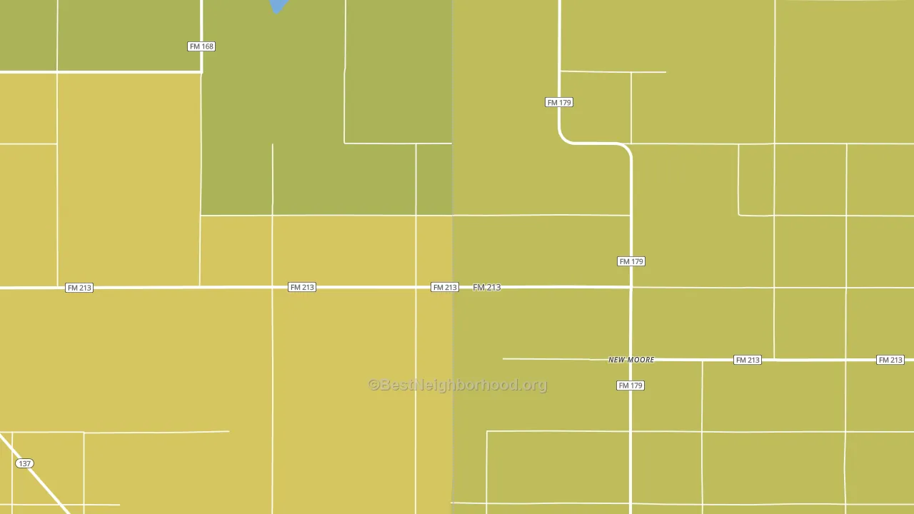 New Moore, TX block-group voter-turnout map