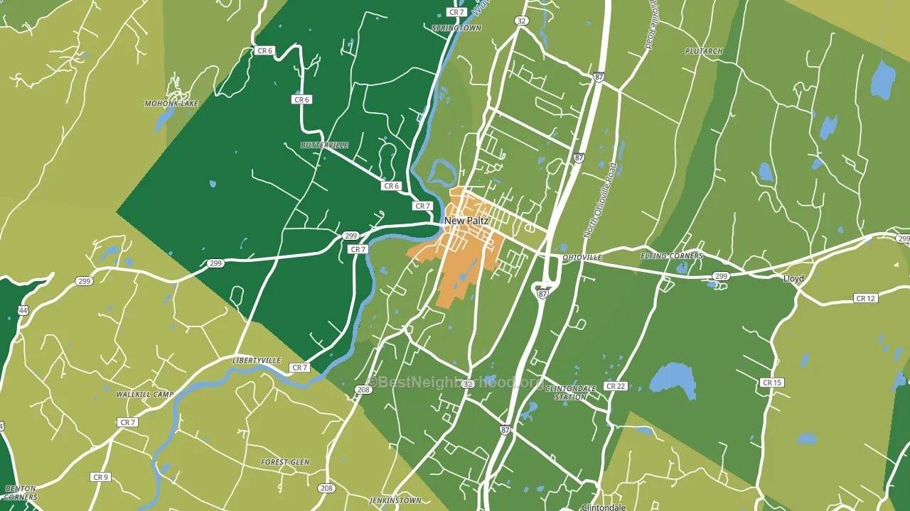 New Paltz, NY block-group voter-turnout map