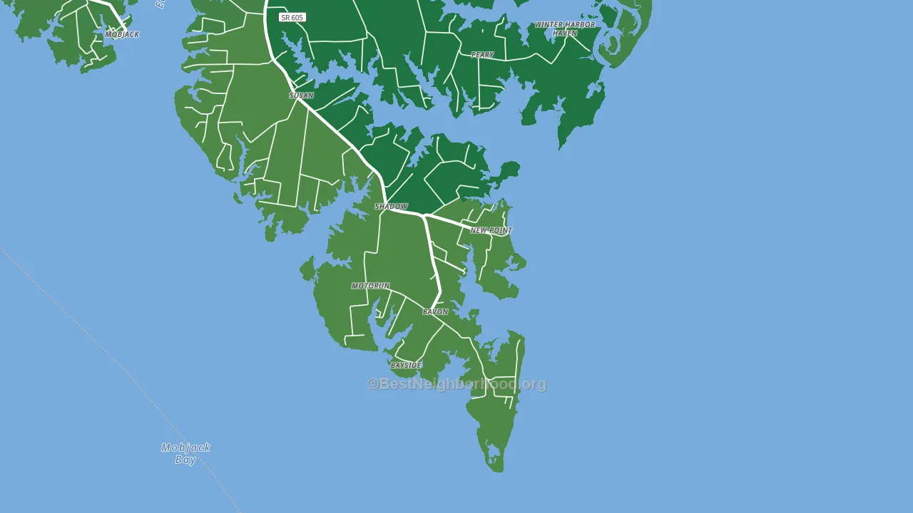 New Point, VA block-group voter-turnout map