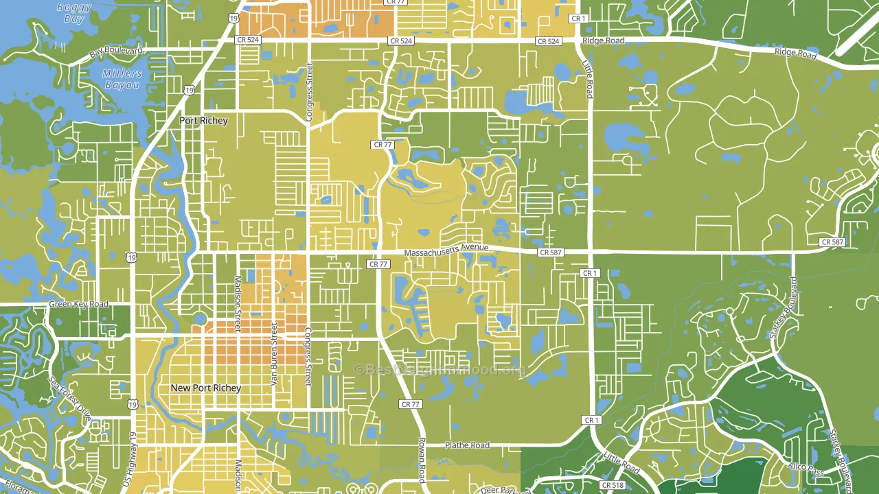 New Port Richey East, FL block-group voter-turnout map