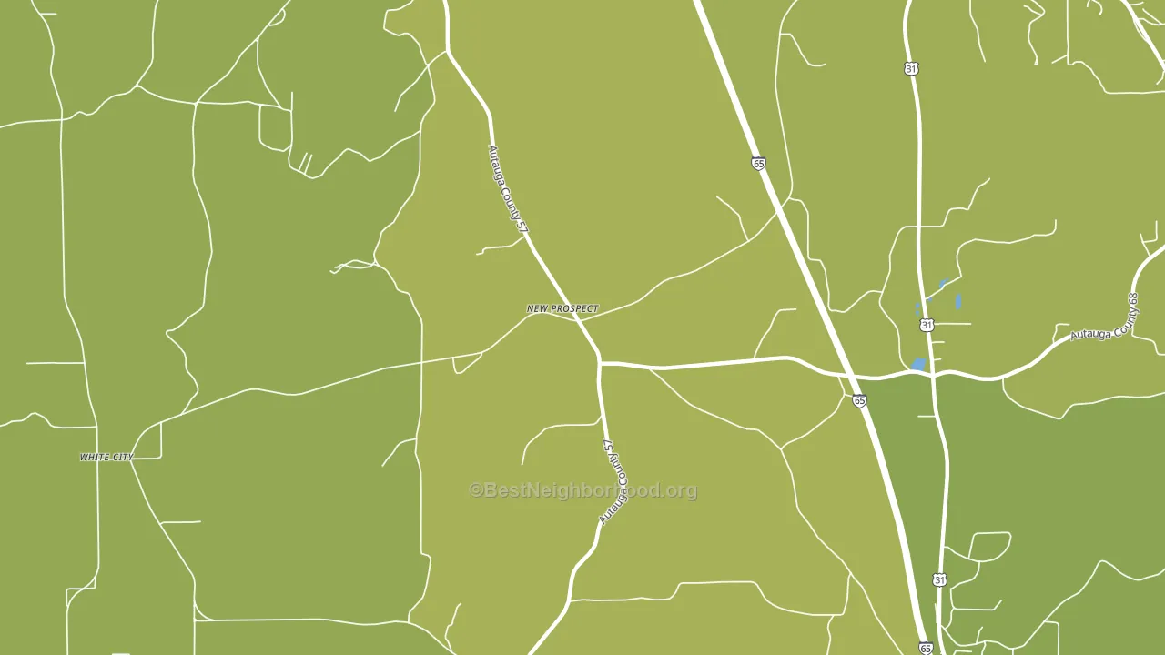 New Prospect, AL block-group voter-turnout map