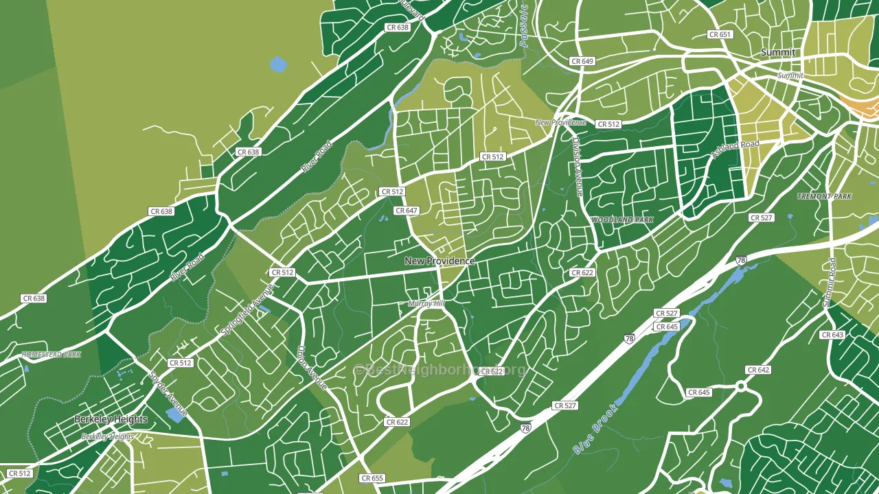 New Providence, NJ block-group voter-turnout map