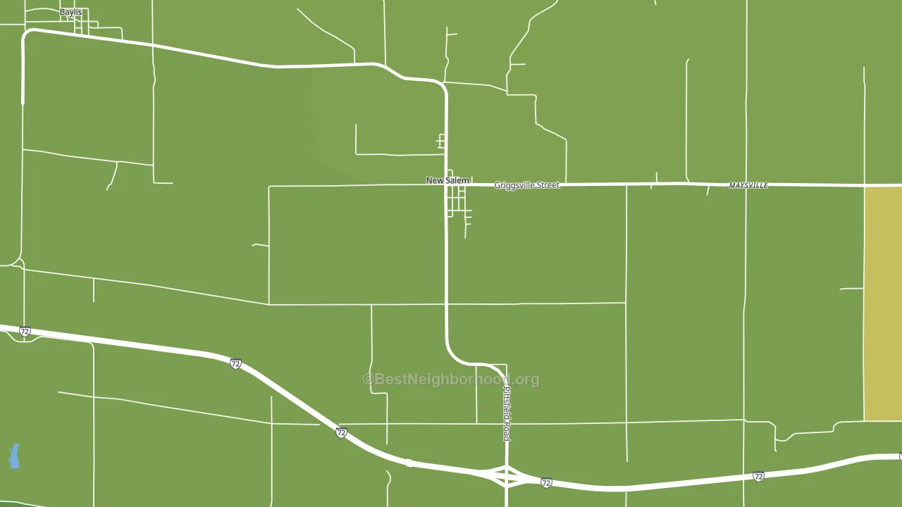 New Salem, IL block-group voter-turnout map