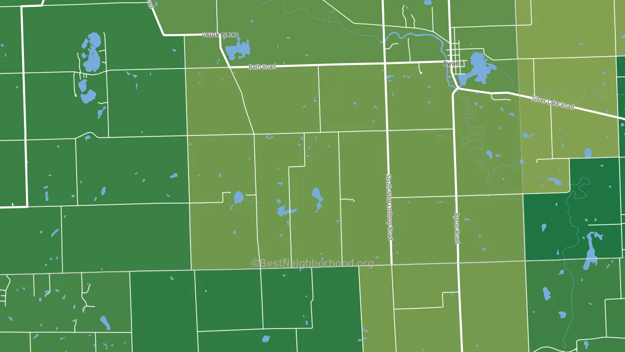 New Salem, MI block-group voter-turnout map
