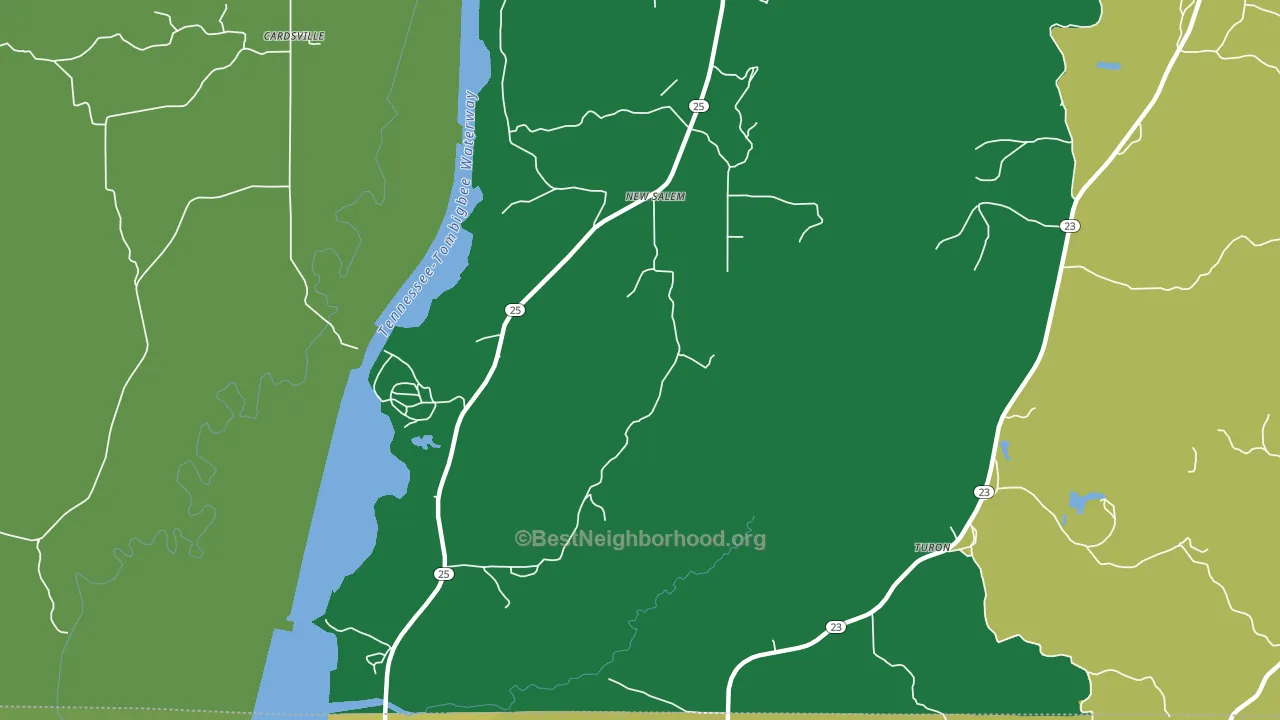 New Salem, MS block-group voter-turnout map