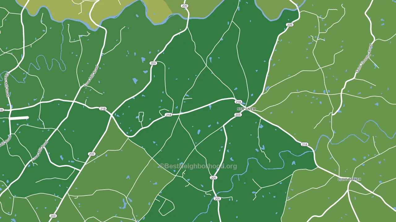 New Salem, NC block-group voter-turnout map