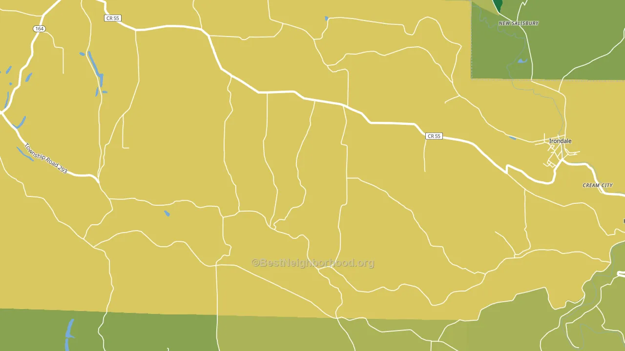 New Salisbury, OH block-group voter-turnout map