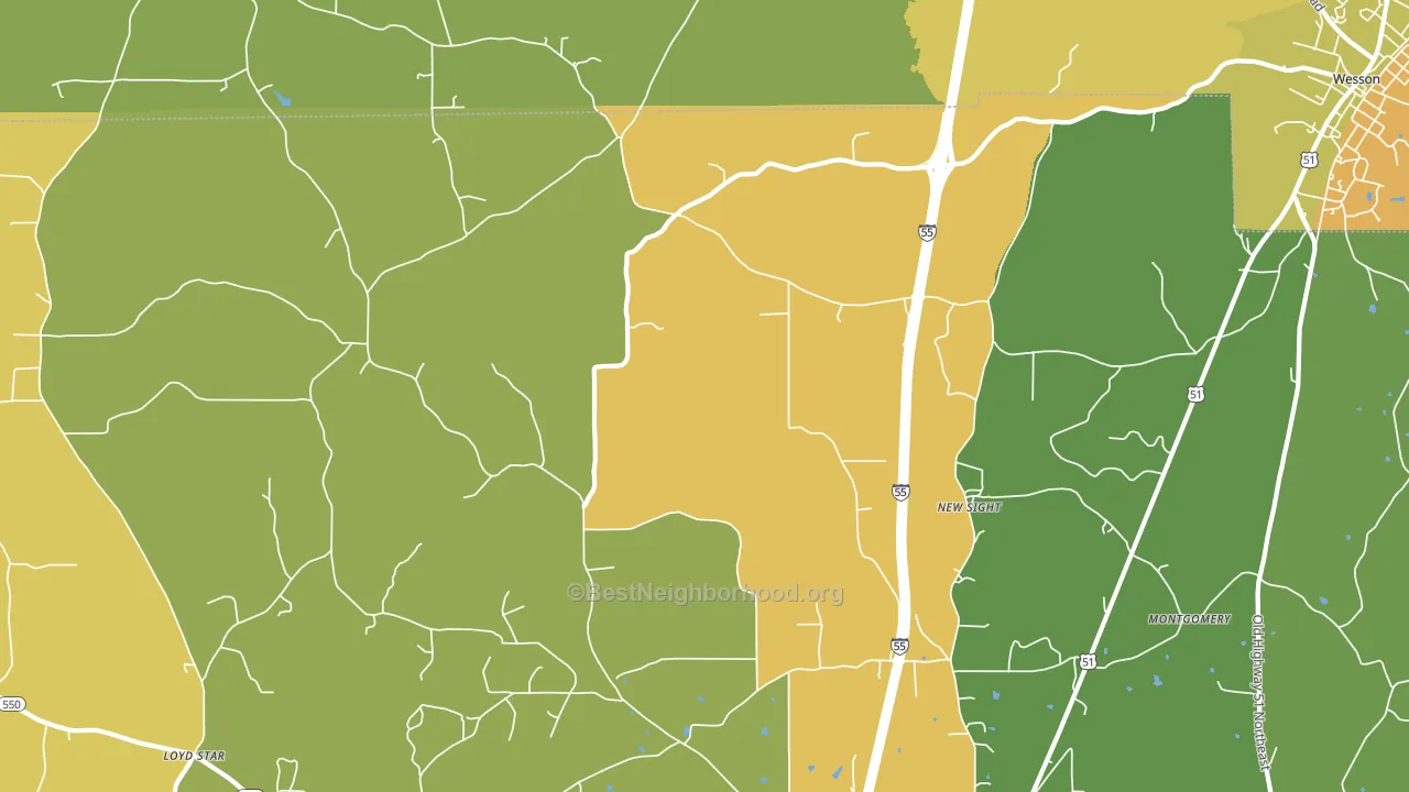 New Sight, MS block-group voter-turnout map