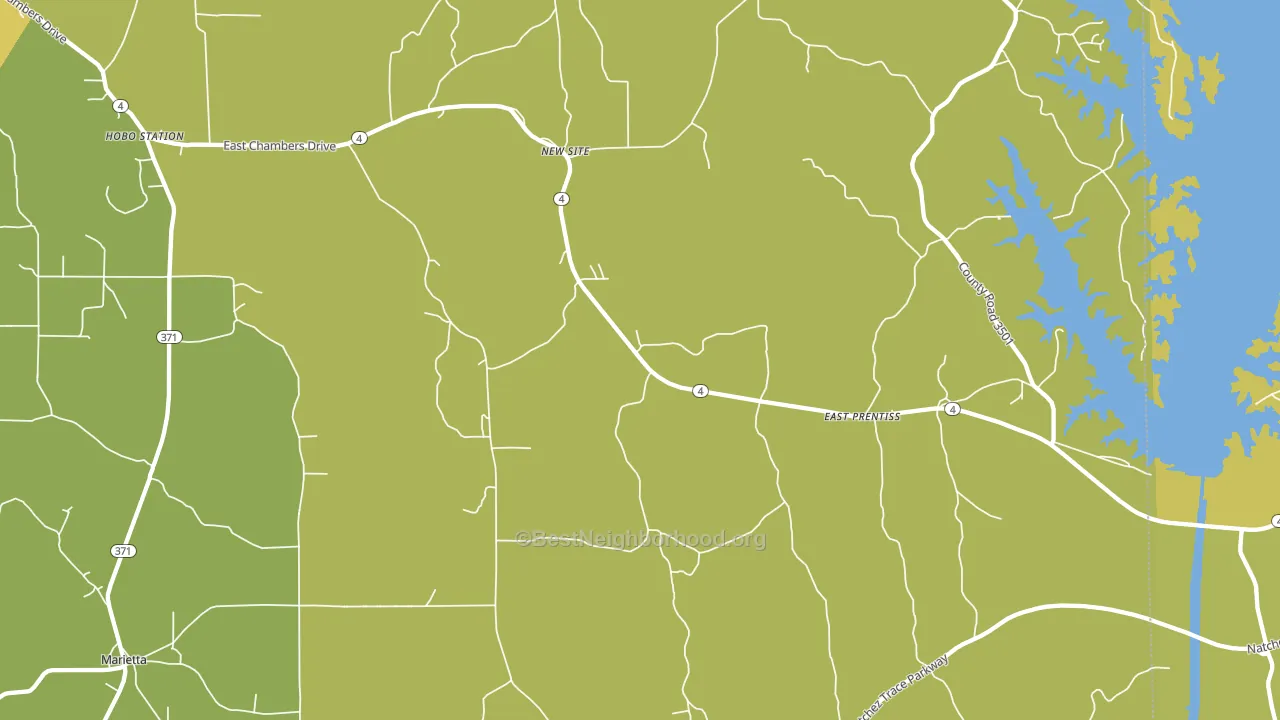 New Site, MS block-group voter-turnout map