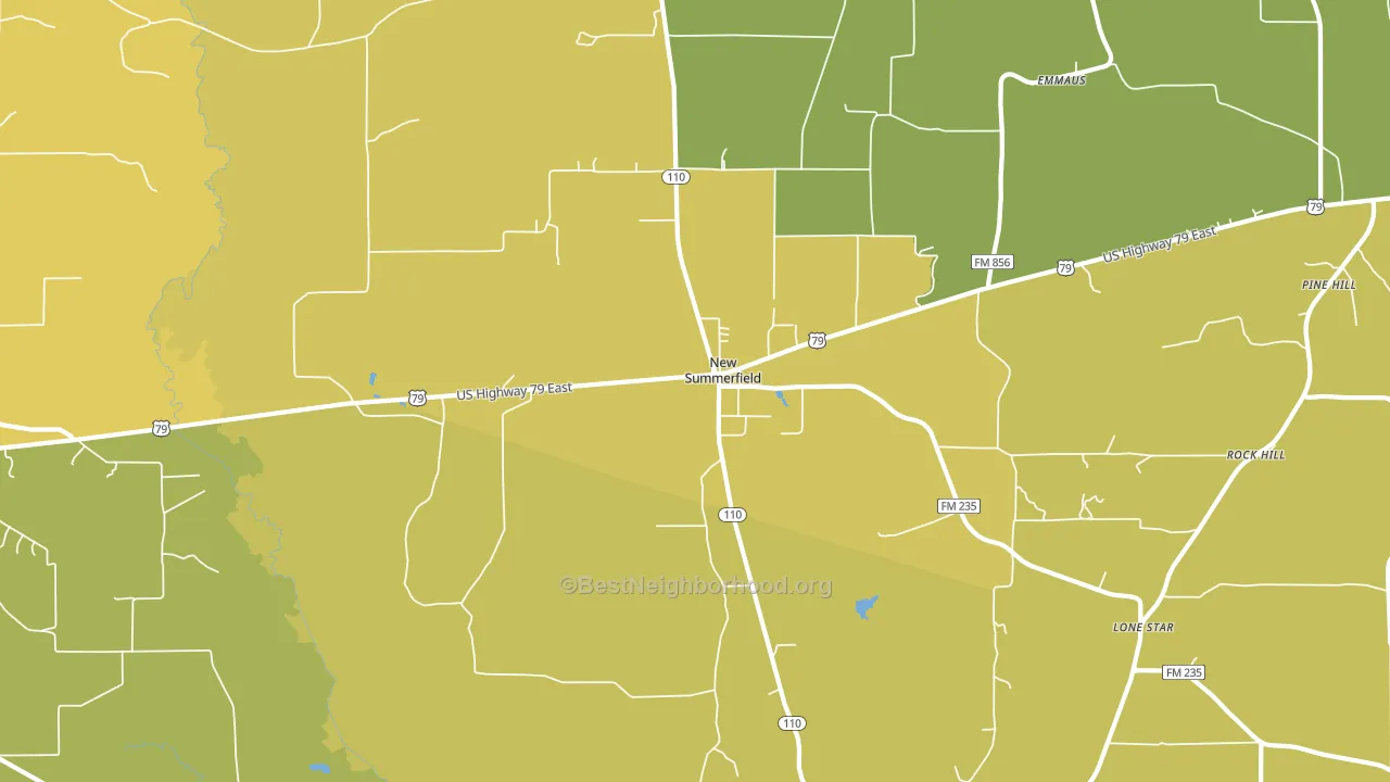 New Summerfield, TX block-group voter-turnout map