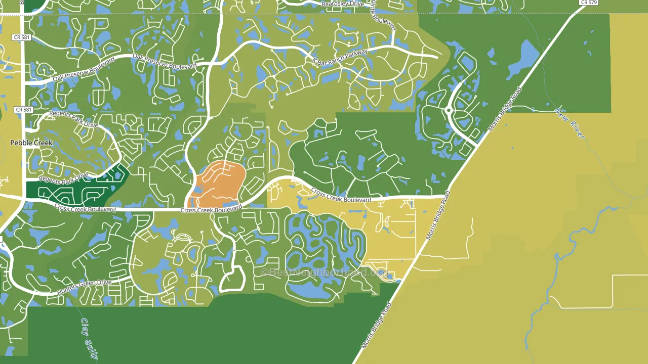 New Tampa, Tampa, FL block-group voter-turnout map