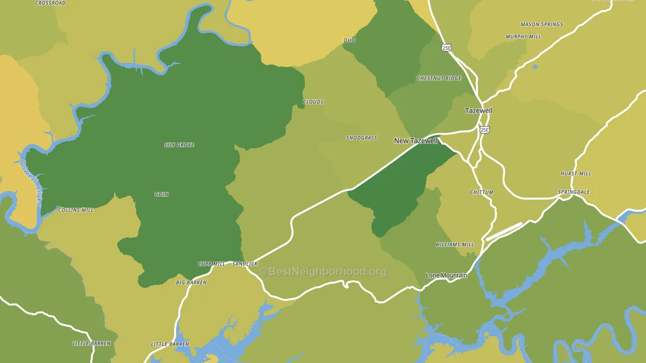 New Tazewell, TN block-group voter-turnout map