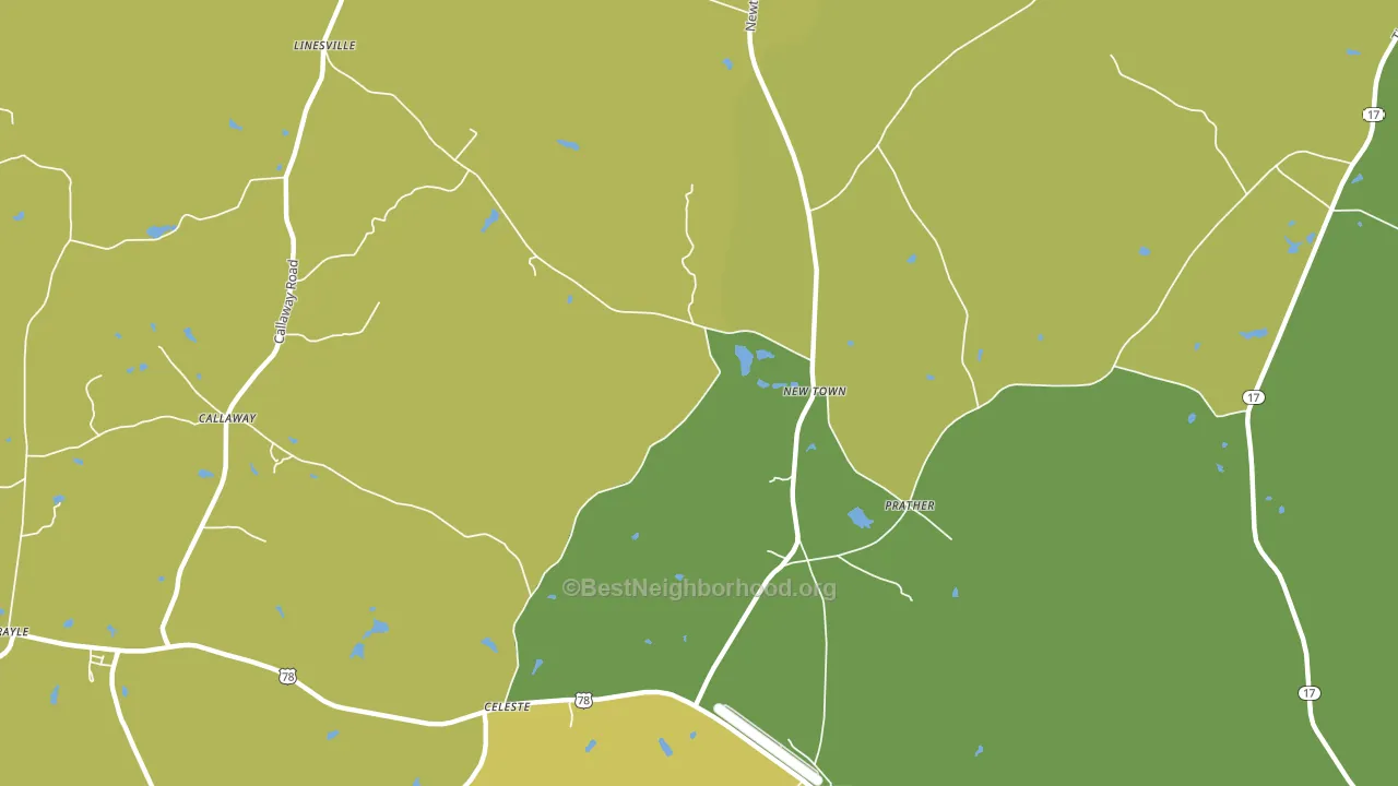 New Town, GA block-group voter-turnout map