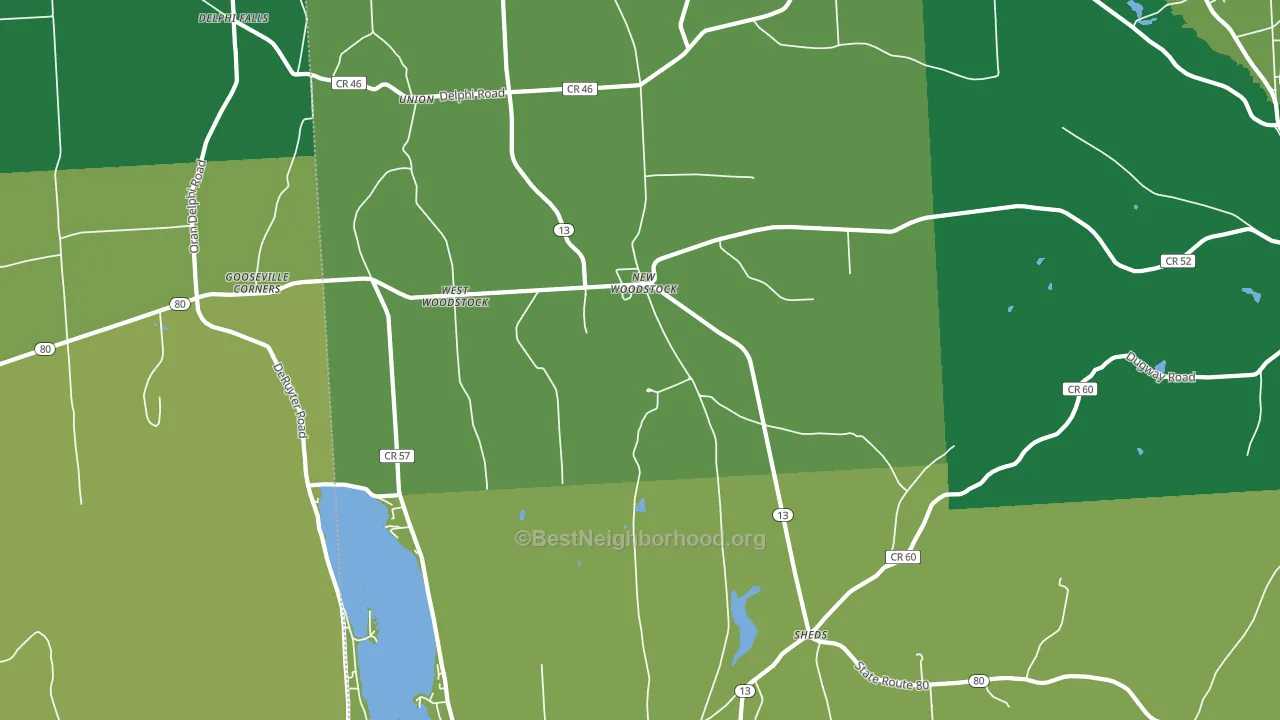 New Woodstock, NY block-group voter-turnout map