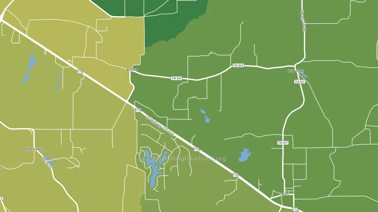 New York, TX block-group voter-turnout map