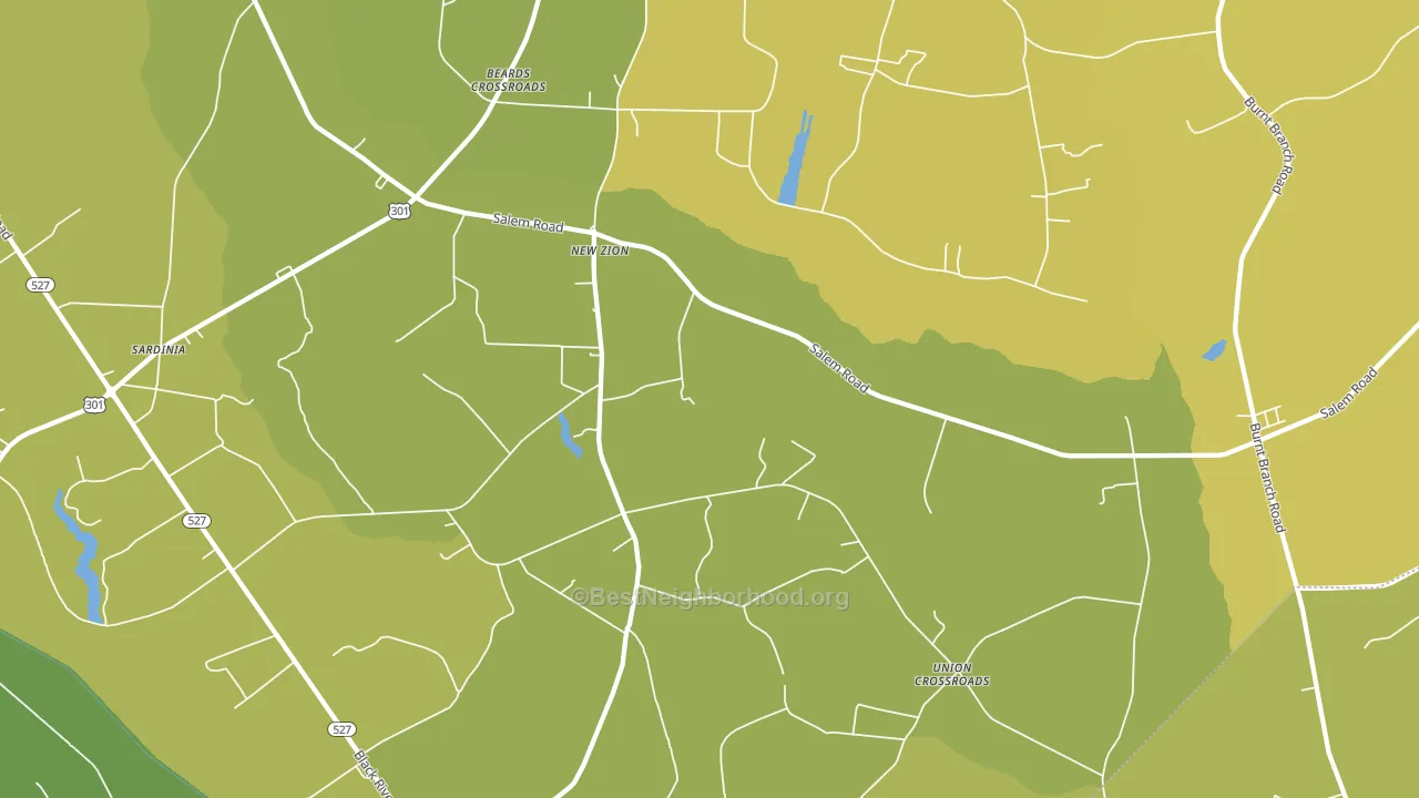 New Zion, SC block-group voter-turnout map
