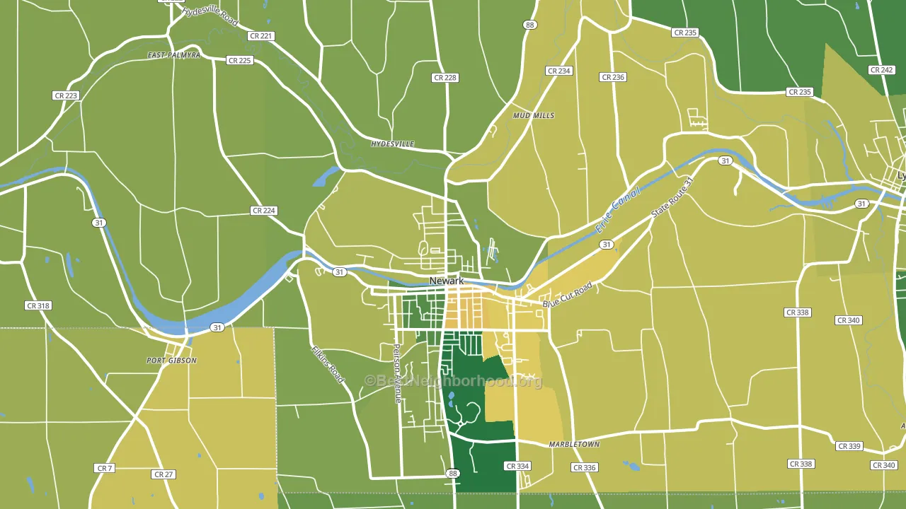 Newark, NY block-group voter-turnout map