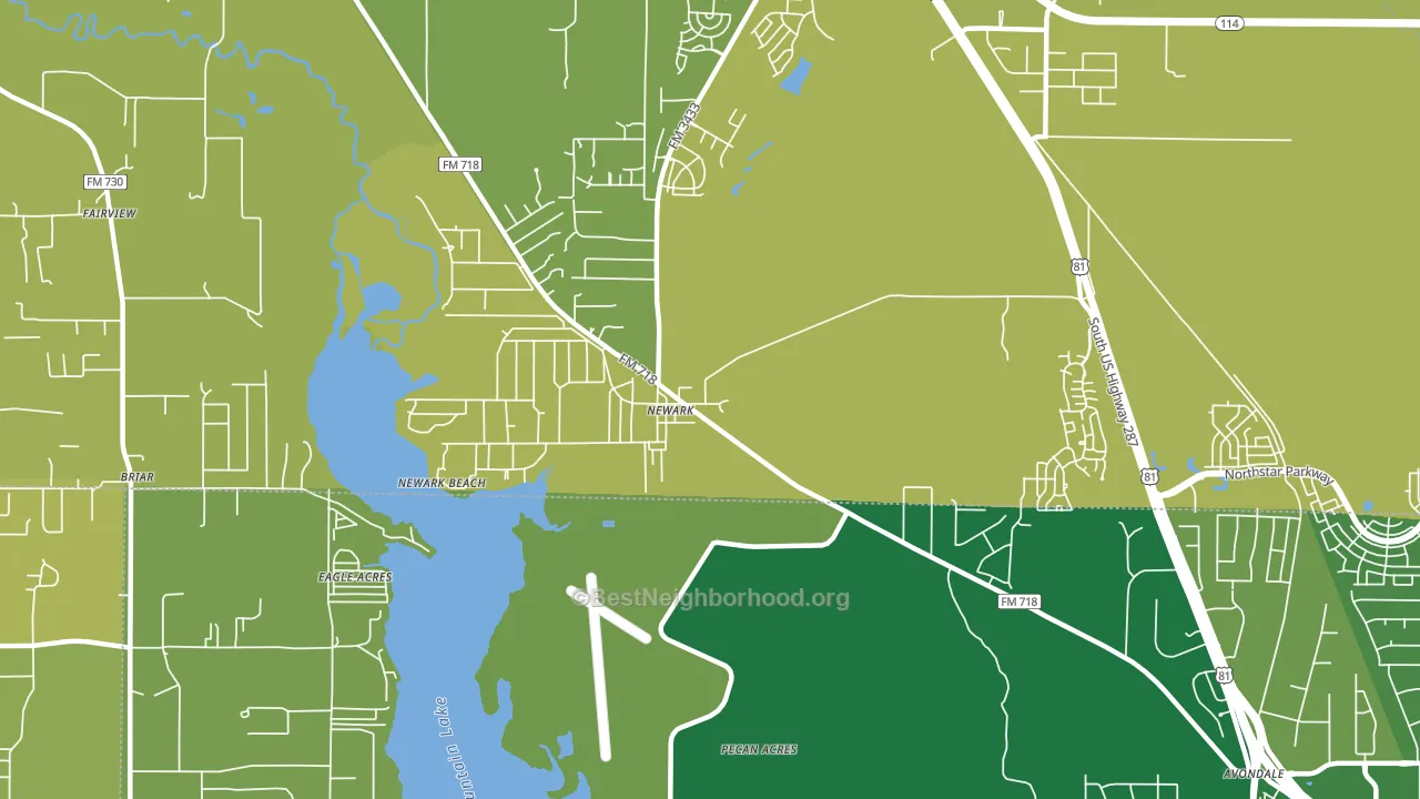 Newark, TX block-group voter-turnout map