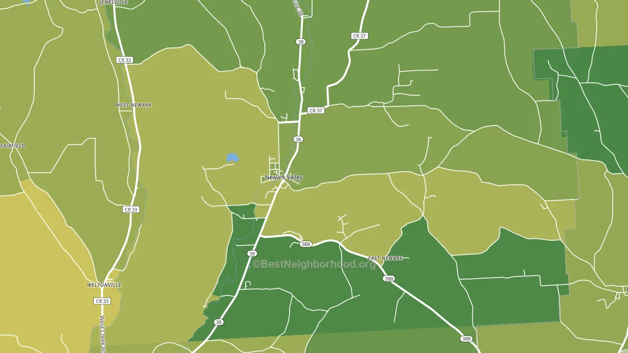 Newark Valley, NY block-group voter-turnout map