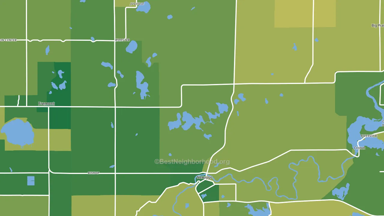 Newaygo County, MI block-group voter-turnout map