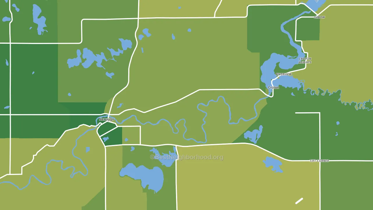 Newaygo, MI block-group voter-turnout map
