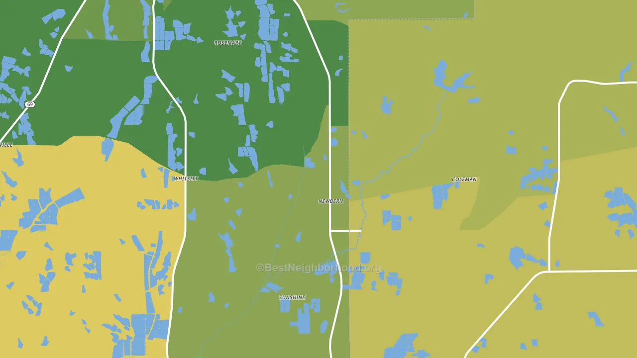 Newbern, AL block-group voter-turnout map