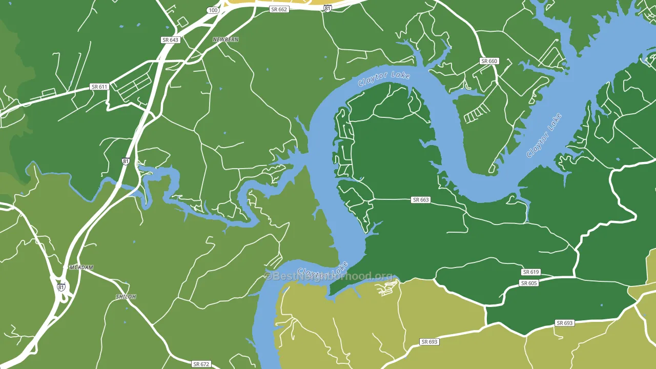Newbern, VA block-group voter-turnout map