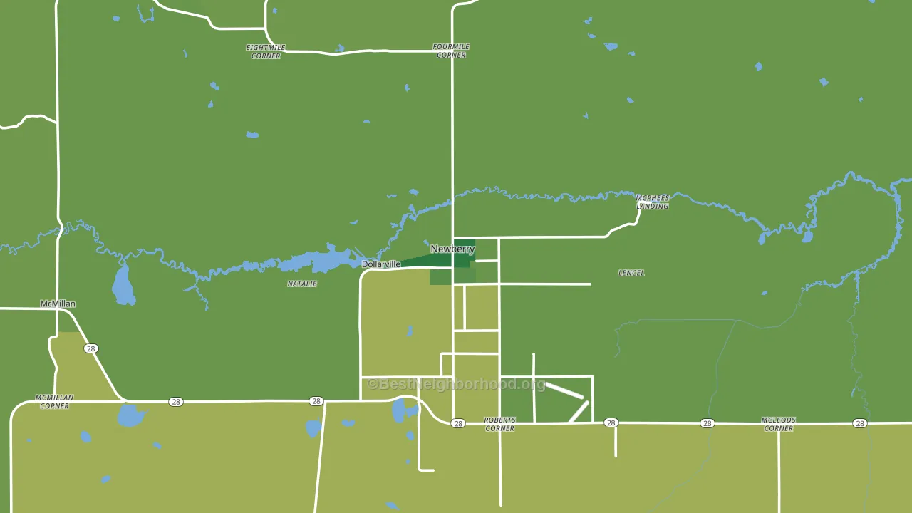 Newberry, MI block-group voter-turnout map