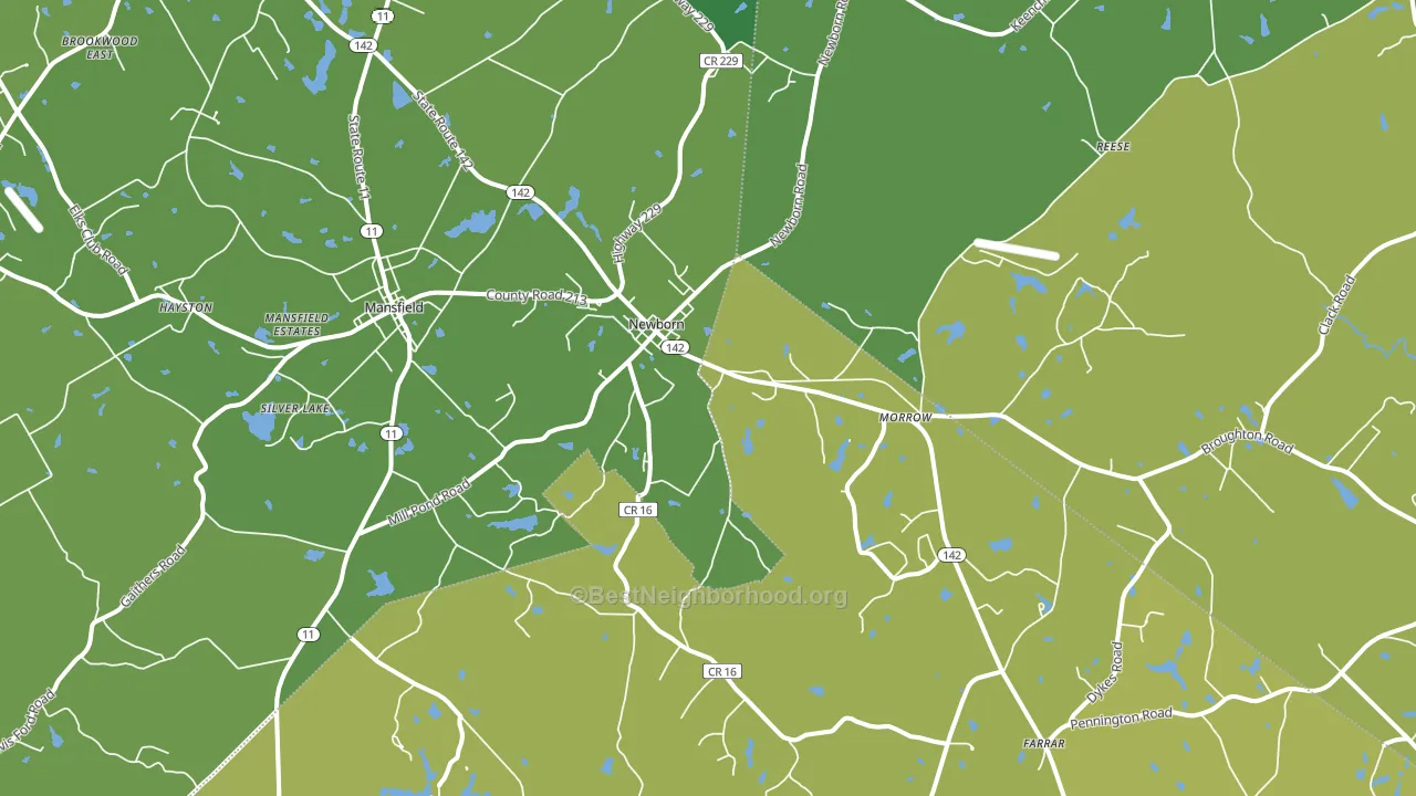 Newborn, GA block-group voter-turnout map