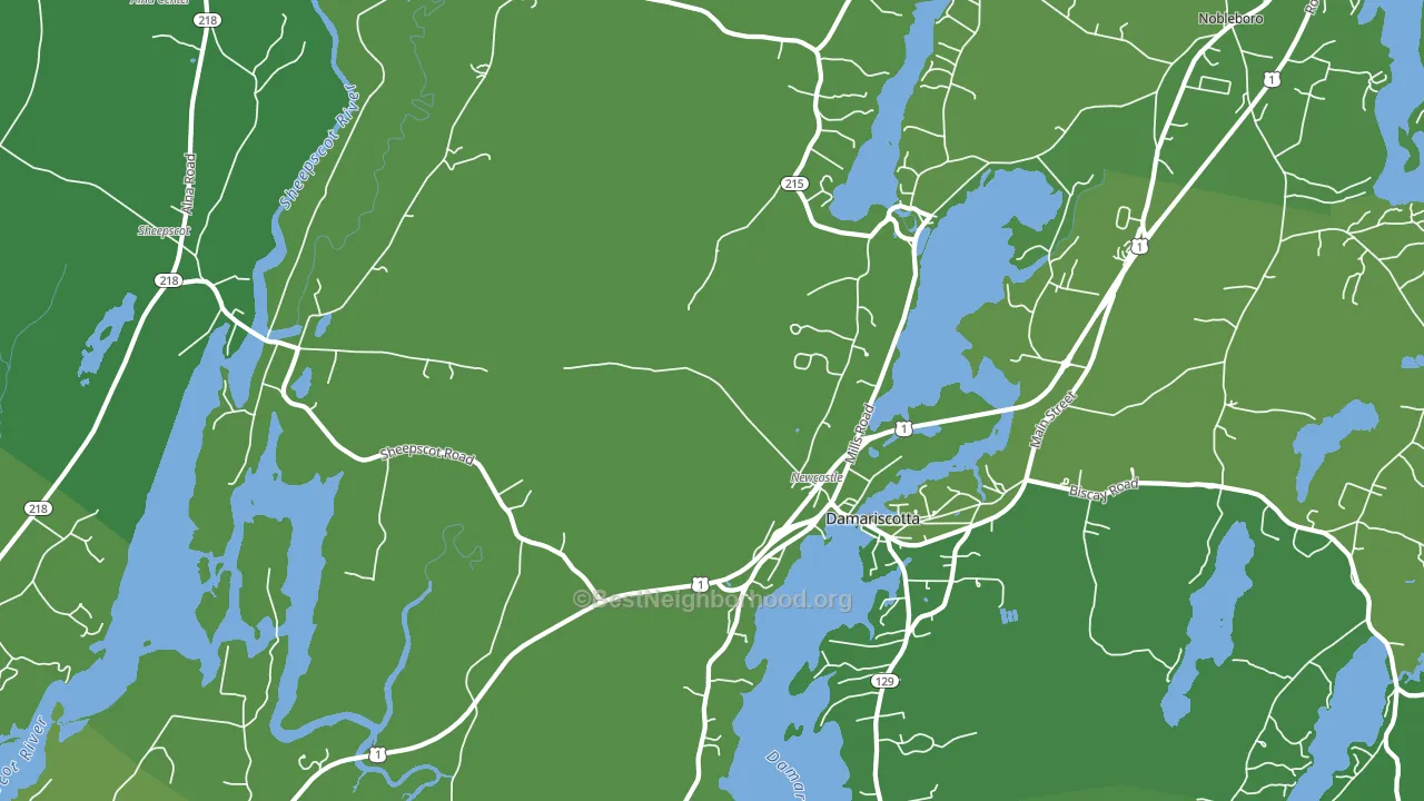 Newcastle, ME block-group voter-turnout map