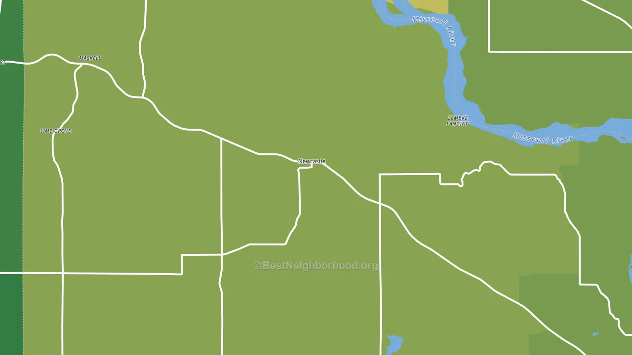 Newcastle, NE block-group voter-turnout map