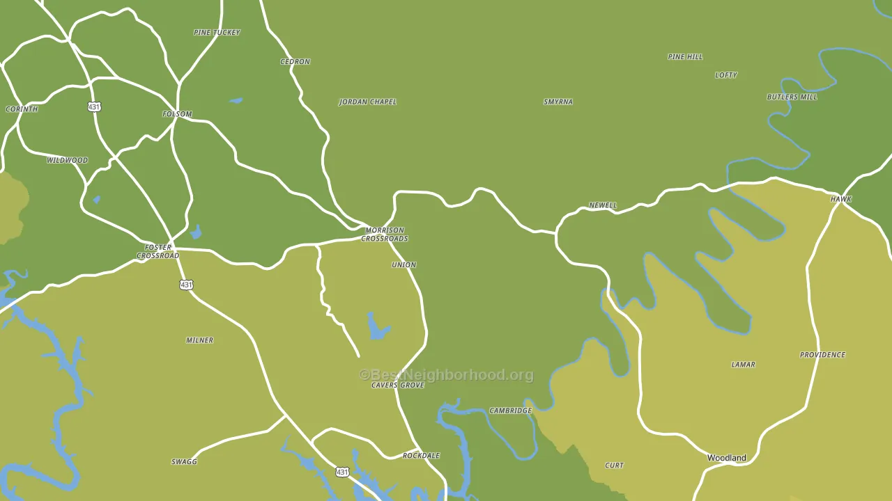 Newell, AL block-group voter-turnout map