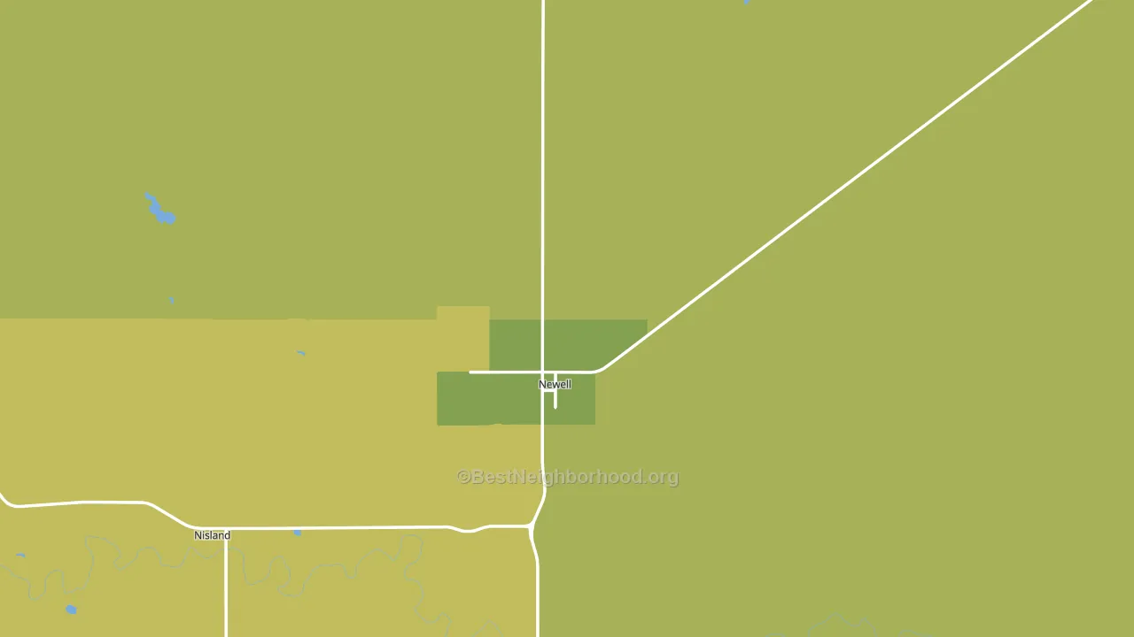 Newell, SD block-group voter-turnout map