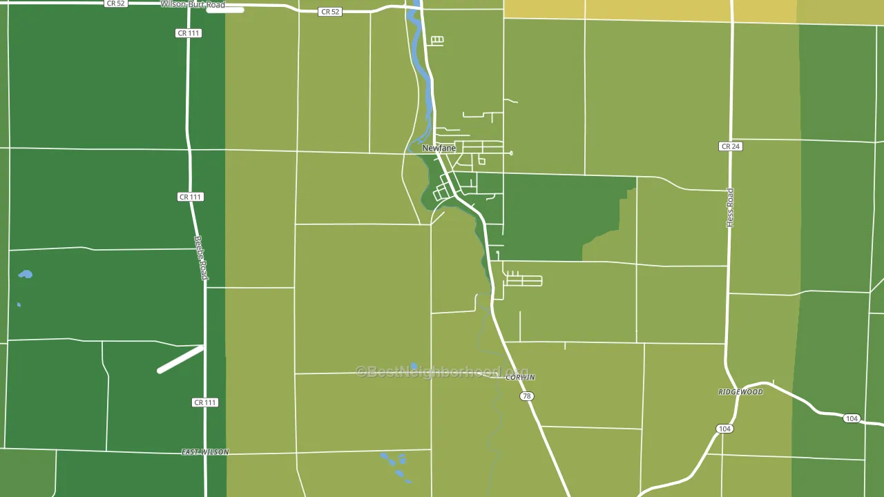 Newfane, NY block-group voter-turnout map