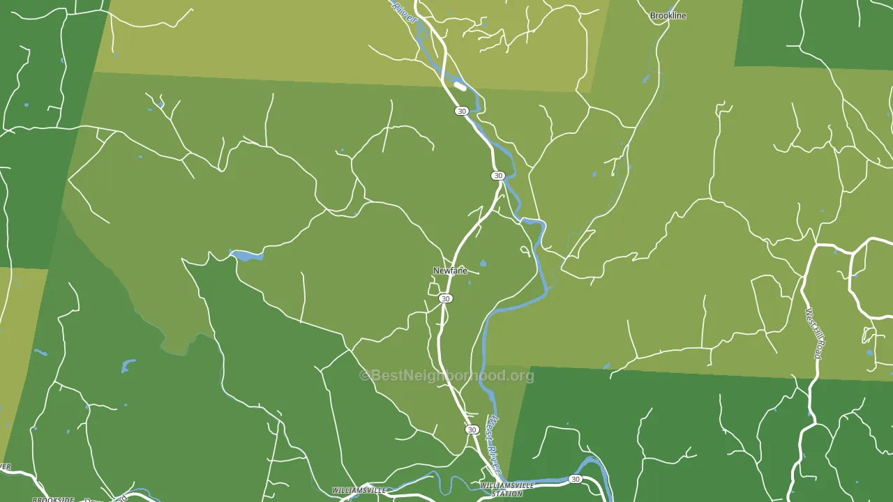 Newfane, VT block-group voter-turnout map