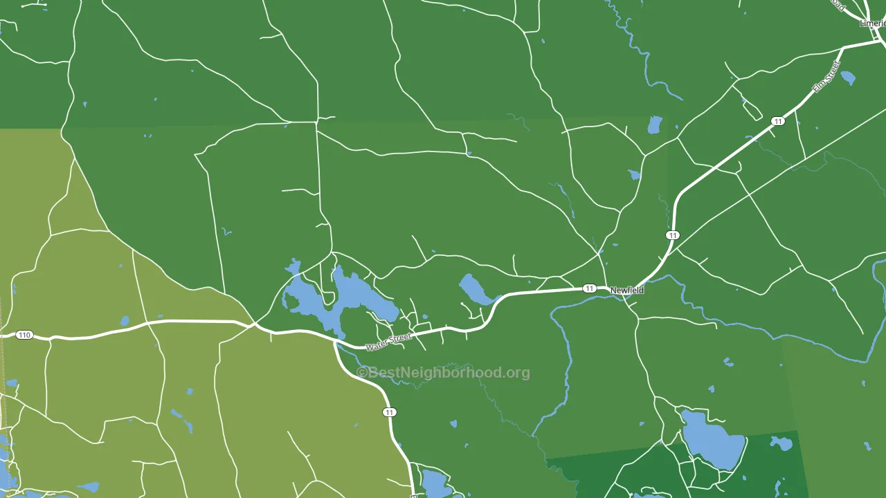 Newfield, ME block-group voter-turnout map